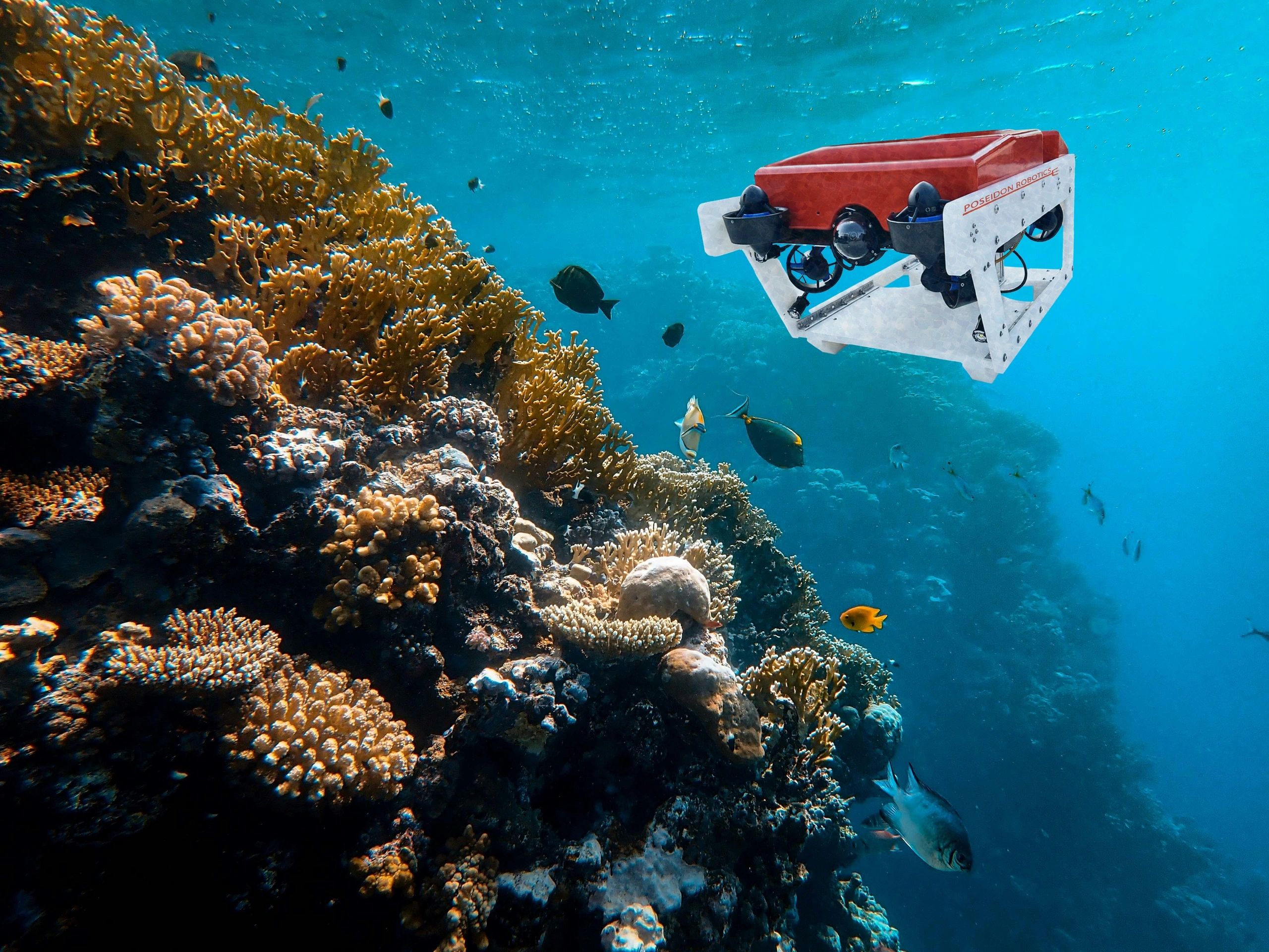 poseidonrov.com
