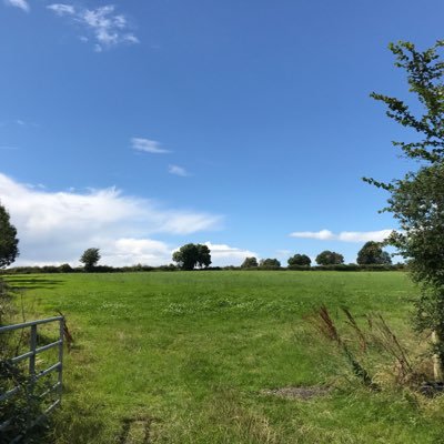 kieranfurl