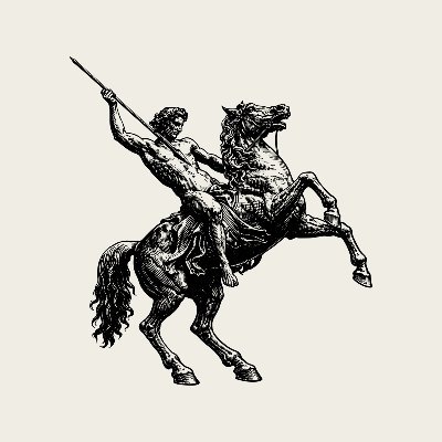 vashoncompany